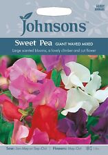 Sweet pea seeds for sale  WORTHING