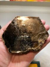 Phlogopite huge crystal for sale  Santa Fe