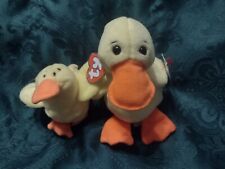 beanie babies teenie quacks for sale  Oswego