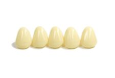 Dental polycarbonate temporary for sale  Hialeah