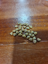 Adenia pechuelii seeds for sale  Shipping to United Kingdom