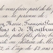 Louis Henry François Paul Gaston De Pins & De Montbrun L'Isle-Jourdain Gers 1882 d'occasion  Toulouse-