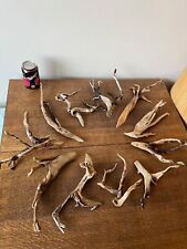 Driftwood pieces x11 for sale  Shipping to Ireland