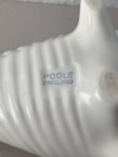 Poole pottery shell for sale  DUMFRIES