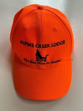 Alpine creek lodge for sale  Healy