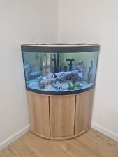 corner aquarium fish tank for sale  GRANTHAM