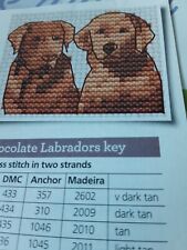 Mini chocolate labrador for sale  BIRMINGHAM