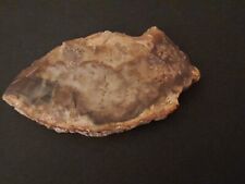 Polished fossil wood for sale  ST. ALBANS