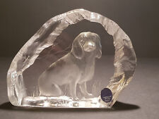 Dartington crystal alfred for sale  SALFORD