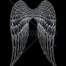 Camiseta Angel Wings elige estilo, talla, color moda damas metálica 17" 20058 segunda mano  Embacar hacia Argentina