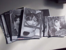 Fotos literarische katzenkalen gebraucht kaufen  Nörten-Hardenberg
