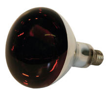 Lampada lampadina infrarossi usato  Malalbergo