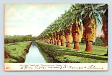 Usado, POSTAL WASHINGTONIAN PALMS CALIFERIA, CANAL DE RIEGO (F-1) segunda mano  Embacar hacia Argentina