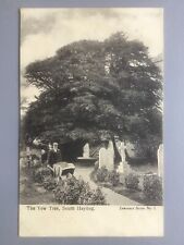 yew tree for sale  PORTSMOUTH