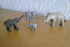 wild animals for sale  COVENTRY