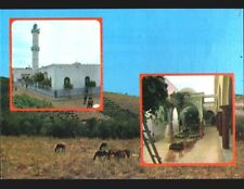Asnam minaret chevaux d'occasion  Baugy