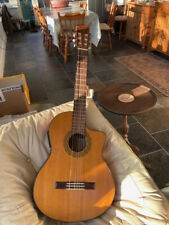 walden acoustic guitar for sale  MUCH WENLOCK