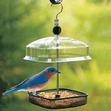 Garden bird feeder for sale  BROXBURN