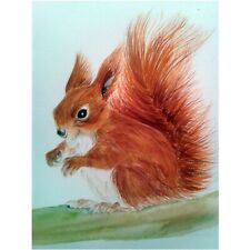 Aceo red squirrel for sale  HOVE