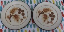 Denby cotswold plates for sale  DONCASTER