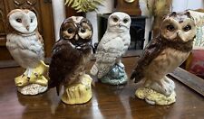 Royal doulton owl for sale  HIGH PEAK