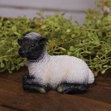 New primitive sheep for sale  Richmond