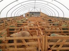 Sheep hurdles for sale  LEYBURN
