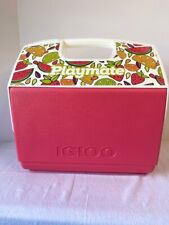 Playmate igloo watermelon for sale  Florence