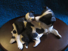 Border collie pups for sale  Shipping to Ireland