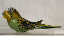 Beautiful langham budgerigar for sale  COLCHESTER