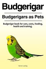 Budgerigar. budgerigars pets. for sale  ROSSENDALE