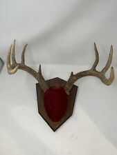 Whitetail point antler for sale  La Crosse