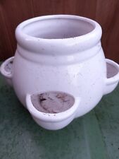 Small herb pot for sale  TAMWORTH