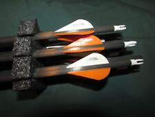 1 2 peças. Flechas de carbono Victory Archery "Trophy Hunter 350", 31", Vane Tec Vanes comprar usado  Enviando para Brazil