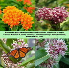 Milkweed mix deluxe for sale  Sevierville