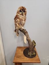 stuffed owl taxidermy for sale  Hinton