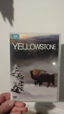 Yellowstone bbc for sale  BUCKIE