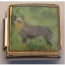 Cattle dog painted for sale  Huntington Station