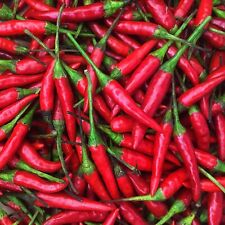 Thai hot pepper for sale  Tarpon Springs