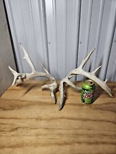 Freak farm whitetail for sale  Knoxville