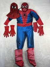 Rubies amazing spiderman for sale  Watertown