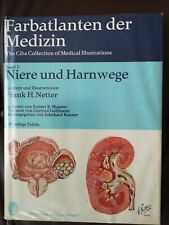 Netter farbatlas medizin gebraucht kaufen  Bickenbach