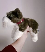 Miniature schnauzer dog for sale  CWMBRAN