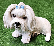 White maltese dog for sale  West Warwick