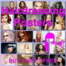 Hairdresser poster hairdressin for sale  RICKMANSWORTH