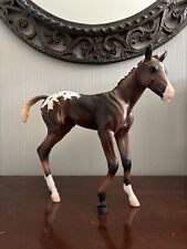 appaloosa filly for sale  College Station