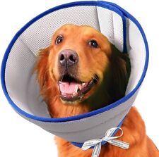 dog cone for sale  Lansdale