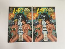 Lobo's Big Babe Spring Break Special # 1 1ª impressão DC Comics - Lote de 2 comprar usado  Enviando para Brazil