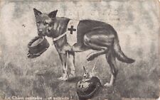 German shepherd dog for sale  Unionville