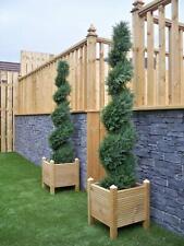 Outdoor cedar spiral for sale  BALLYMONEY